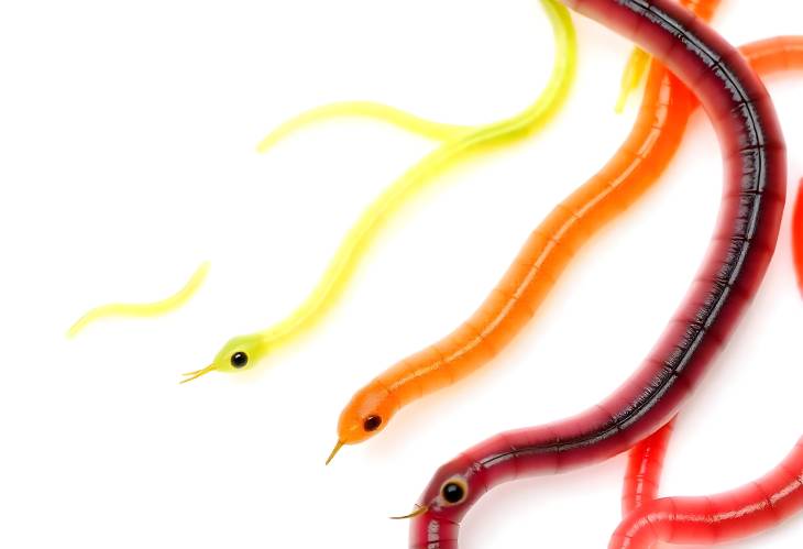 Fun and Sweet Colorful Jelly Worms and Snakes Isolated on White Background