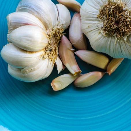 Garlic Cloves and Whole Head Isolated on White