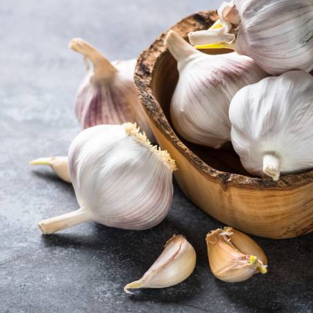 Garlic Head and Cloves on White Isolated Background