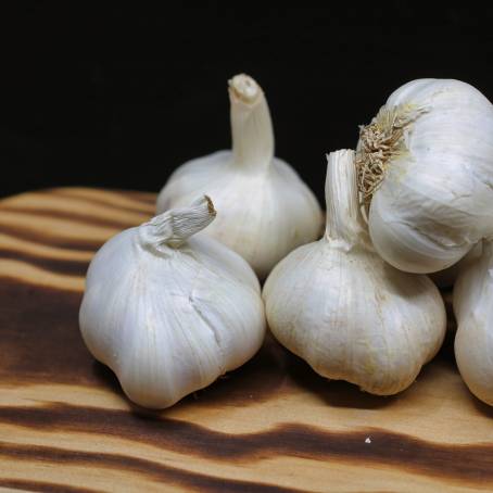 Garlic Head and Peeled Cloves on White Isolated Background