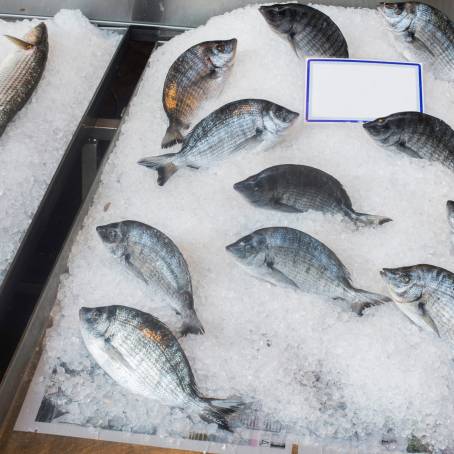 Giant Gourami Fish Displayed on Ice Top View at Thai Fish Market