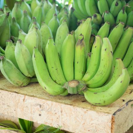 Green Bananas on Yangon Street