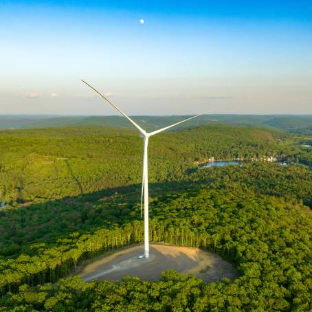 Green Forest Canopy Aerial View Representing Ecological Health