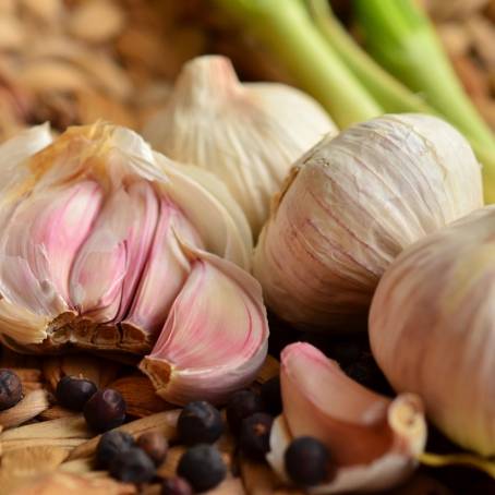 Head of Garlic and Cloves on White Isolated