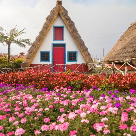 Heritage Homes of Madeira on a Beautiful Sunny Day