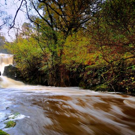 High Force A majestic waterfall cascading through rugged cliffs