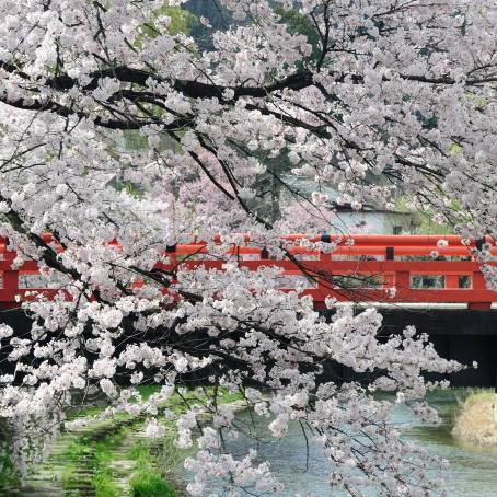 Historic Nakabashi Bridge Takayama Iconic Red River View