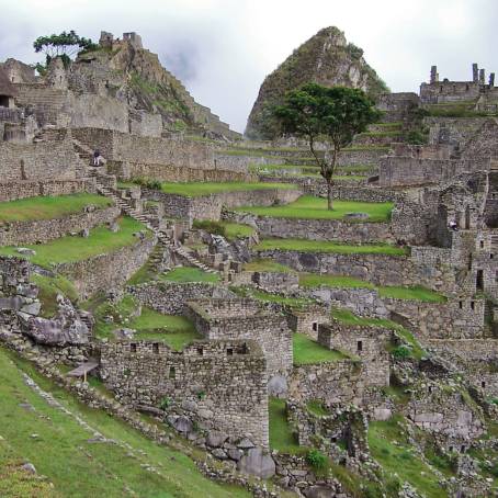 Iconic Machu Picchu Ruins Shrouded in Mist and Green Peaks