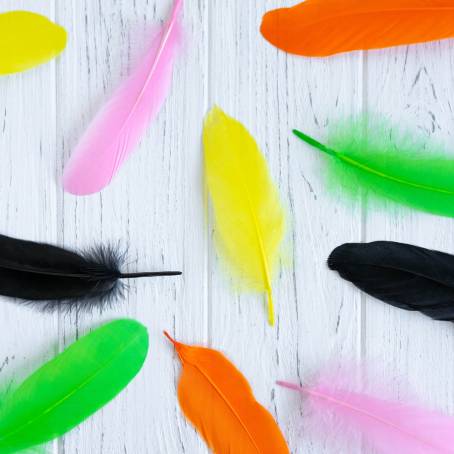 Intricate Close Up of a Feather Displaying Multicolored Hues and Yellow Tips