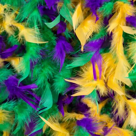 Intricate Close Up of a Multicolored Feather with Bright Yellow Tips