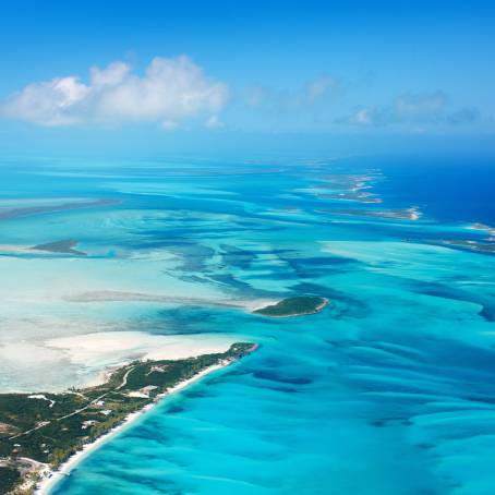 Island Pool View with Beach and Lush Palms, Andros, Bahamas