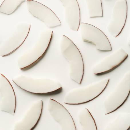 Isolated Coconut Half, Slice, and Piece on White Background, Coco Nut with Leaf, Full Focus