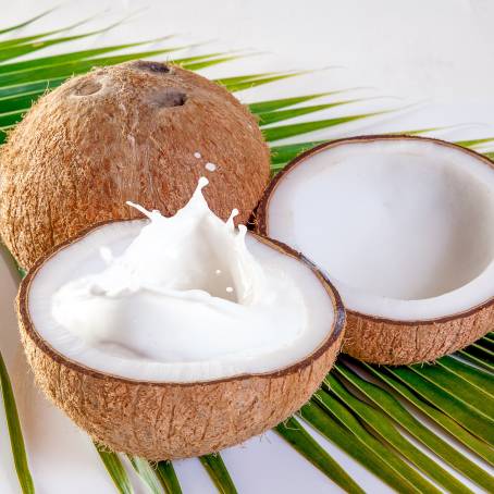 Isolated Coconut Half, Slice, and Piece with Leaf on White Background, Full Depth Focus