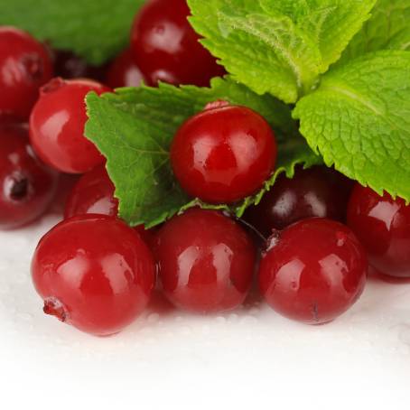 Isolated Cranberries Falling on White Background