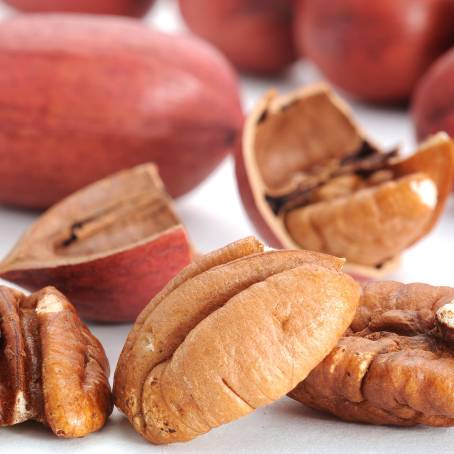 Isolated Peeled Pecans on White Background