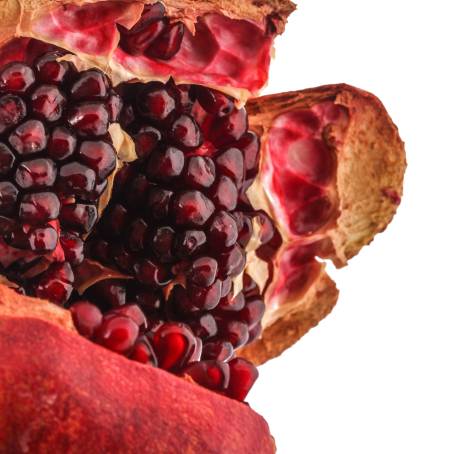 Isolated Pomegranate Seeds in Macro Photography with Full Depth of Field and True Details