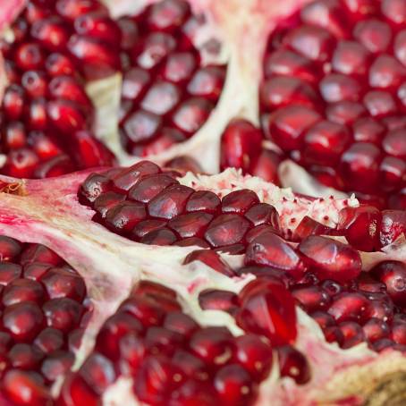 Isolated Pomegranate Seeds on White Background Macro Photo with Clipping Path and True Detail