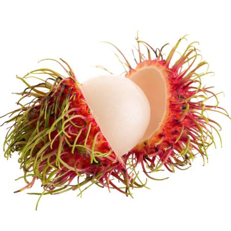 Isolated Rambutan on White Background A Showcase of Tropical Beauty