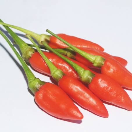 Isolated Red Cayenne Pepper on a White Surface