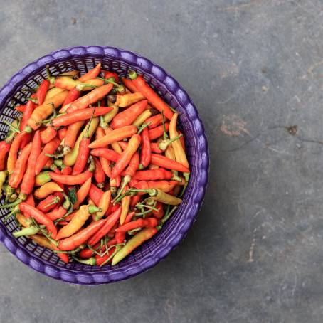 Isolated Red Cayenne Pepper on White Spicy and Vibrant