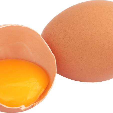 Isolated Top View of Broken Egg on Clean White Surface, Vertical Perspective