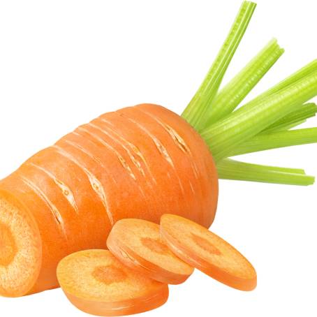 Isolated Top View of Fresh Carrots Daucas Carota on Clean White Background for Healthy Food