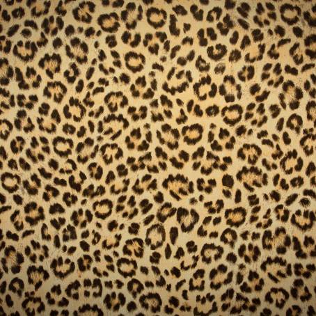 Leopard Animal Print Fur Texture with Wool Concept for Creative Design