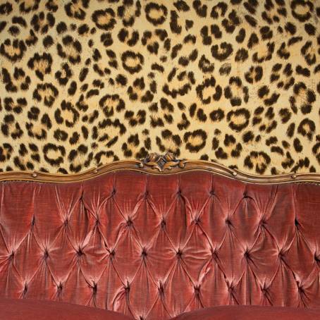 Leopard Fur and Wool Texture for Contemporary Art Backgrounds