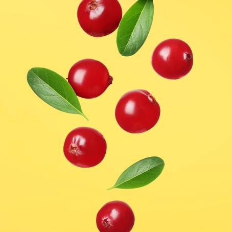 Levitating Cranberries Falling on White Background