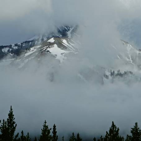 Lone Sapling on Misty Mountain Summit with Fog