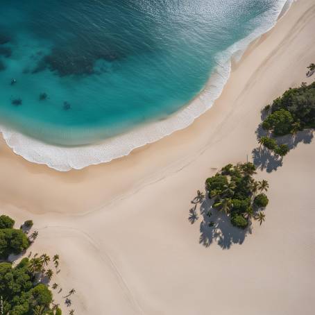 Lonely Beach from Above Tropical Paradise Scenery