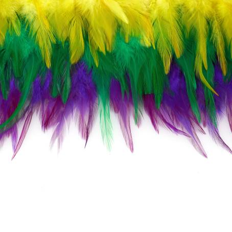 Macro Close Up of a Vibrant Feather Background with Yellow Tipped Ends