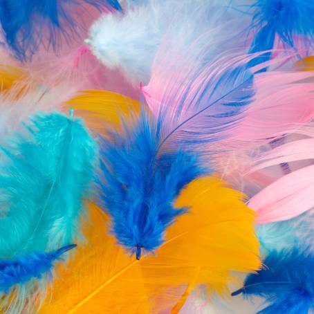 Macro Photography of a Multicolored Feather with Yellow Tipped Ends