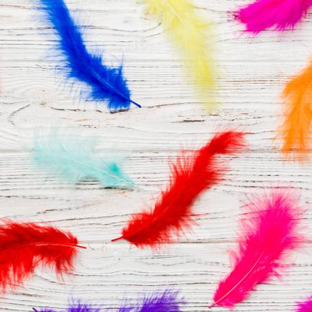 Macro View of a Feather with Yellow Tips and Multicolor Background