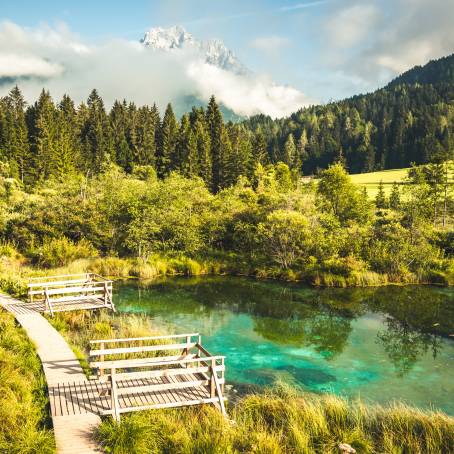 Magnificent Morning at Zelenci Nature Reserve, Slovenia