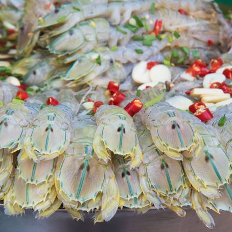 Mantis Shrimp Raw and Fresh Seafood on Ice at Thailand Fish Market, Close Up