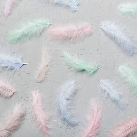 Mesmerizing Close Up of a Feather with Multicolored Hues and Yellow Tips