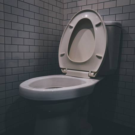 Minimalist Design White Toilet Bowl and Grey Wall