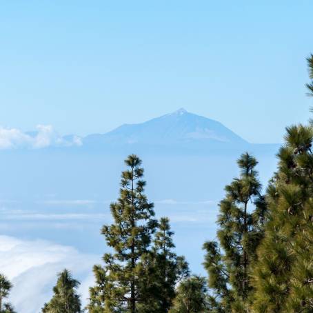 Mirador de Chio Pines Canary Islands Spain