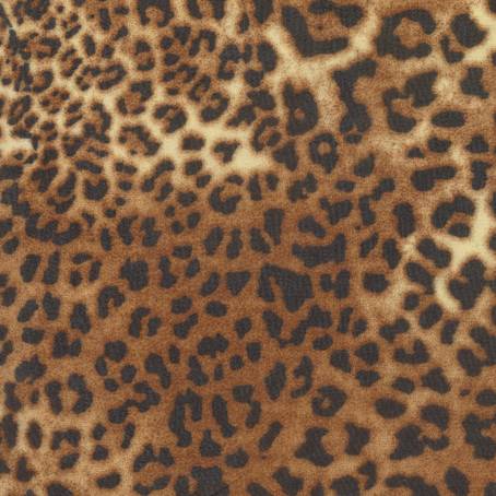 Modern Art Design Featuring Leopard Fur and Wool Texture Backgrounds