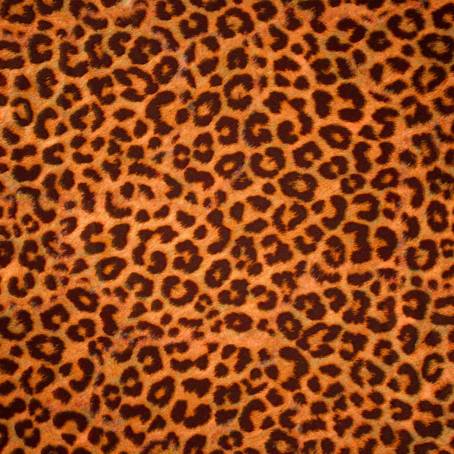 Modern Leopard Fur Texture with Wool Concept for Art and Design