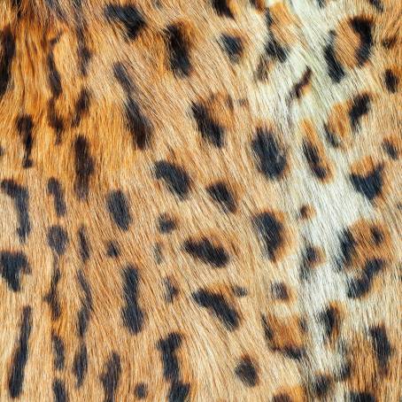 Modern Leopard Fur Texture with Wool Design for Creative Banners