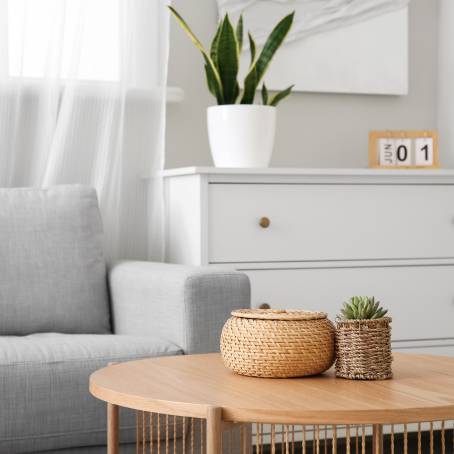 Modern Living Room Coffee Table with Plant  Basket