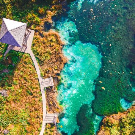 Morning Splendor at Zelenci Nature Reserve, Slovenia