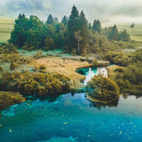 Morning Tranquility at Zelenci Nature Reserve in Slovenia