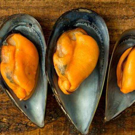 Mussels Floating on White Background