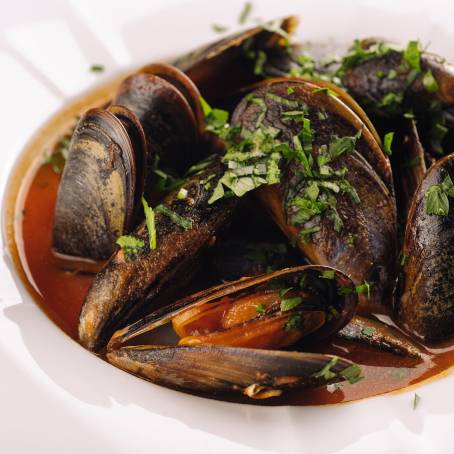 Mussels in Shells Floating on White Background