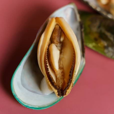 Mussels in Shells on Clean White Background