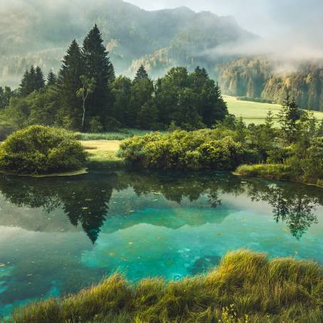 Nature Reserve Zelenci Morning Wonders in Slovenia