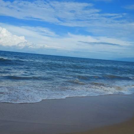 Nature Summer Symphony at Sea River Beach